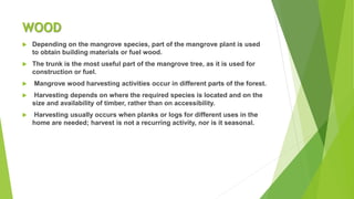 WOOD
 Depending on the mangrove species, part of the mangrove plant is used
to obtain building materials or fuel wood.
 The trunk is the most useful part of the mangrove tree, as it is used for
construction or fuel.
 Mangrove wood harvesting activities occur in different parts of the forest.
 Harvesting depends on where the required species is located and on the
size and availability of timber, rather than on accessibility.
 Harvesting usually occurs when planks or logs for different uses in the
home are needed; harvest is not a recurring activity, nor is it seasonal.
 