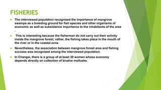 FISHERIES
 The interviewed population recognized the importance of mangrove
swamps as a breeding ground for fish species and other organisms of
economic as well as subsistence importance to the inhabitants of the area
.
 This is interesting because the fisherman do not carry out their activity
inside the mangrove forest; rather, the fishing takes place in the mouth of
the river or in the coastal zone.
 Nevertheless, the association between mangrove forest area and fishing
success was recognized among the interviewed population.
 In Changai, there is a group of at least 30 women whose economy
depends directly on collection of bivalve mollusks.
 
