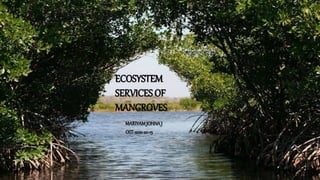ECOSYSTEM
SERVICES OF
MANGROVES
MARIYAMJOHNAJ
OST-2021-20-15
 