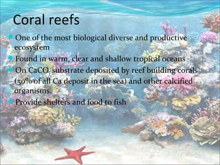 Mangroves and coral reefs | PPT