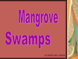 Mangrove Swamps 2:B IRENE AND LORENA. 