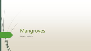 Mangroves
Josiah C. Tiburcio
 