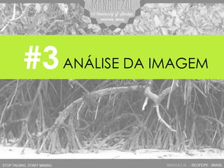 #3ANÁLISE DA IMAGEM
 