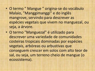 • O termo " Mangue " origina-se do vocábulo
  Malaio, "Manggimanggi" e do inglês
  mangrove, servindo para descrever as
  espécies vegetais que vivem no manguezal, ou
  seja, a árvore.
• O termo "Manguezal" é utilizado para
  descrever uma variedade de comunidades
  costeiras tropicais dominadas por espécies
  vegetais, arbóreas ou arbustivas que
  conseguem crescer em solos com alto teor de
  sal, ou seja, um terreno cheio de mangue (o
  ecossistema).
 