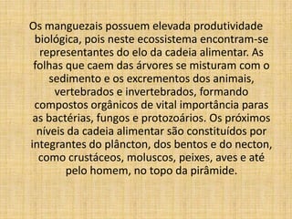 Os manguezais possuem elevada produtividade
 biológica, pois neste ecossistema encontram-se
  representantes do elo da cadeia alimentar. As
 folhas que caem das árvores se misturam com o
     sedimento e os excrementos dos animais,
      vertebrados e invertebrados, formando
 compostos orgânicos de vital importância paras
 as bactérias, fungos e protozoários. Os próximos
  níveis da cadeia alimentar são constituídos por
integrantes do plâncton, dos bentos e do necton,
  como crustáceos, moluscos, peixes, aves e até
        pelo homem, no topo da pirâmide.
 