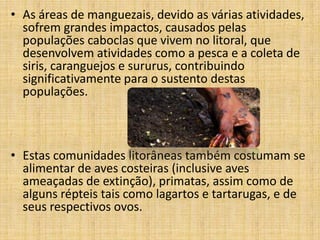 • As áreas de manguezais, devido as várias atividades,
  sofrem grandes impactos, causados pelas
  populações caboclas que vivem no litoral, que
  desenvolvem atividades como a pesca e a coleta de
  siris, caranguejos e sururus, contribuindo
  significativamente para o sustento destas
  populações.



• Estas comunidades litorâneas também costumam se
  alimentar de aves costeiras (inclusive aves
  ameaçadas de extinção), primatas, assim como de
  alguns répteis tais como lagartos e tartarugas, e de
  seus respectivos ovos.
 