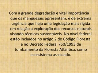 Com a grande degradação e vital importância
 que os manguezais apresentam, é de extrema
  urgência que haja uma legislação mais rígida
 em relação a exploração dos recursos naturais
visando técnicas sustentáveis. No nível federal
estão incluídos no artigo 2 do Código Florestal
       e no Decreto Federal 750/1993 de
    tombamento da Floresta Atlântica, como
            ecossistema associado.
 