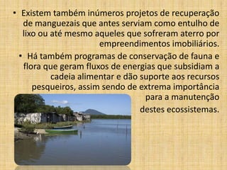 • Existem também inúmeros projetos de recuperação
  de manguezais que antes serviam como entulho de
  lixo ou até mesmo aqueles que sofreram aterro por
                      empreendimentos imobiliários.
 • Há também programas de conservação de fauna e
  flora que geram fluxos de energias que subsidiam a
          cadeia alimentar e dão suporte aos recursos
     pesqueiros, assim sendo de extrema importância
                                  para a manutenção
                                 destes ecossistemas.
 