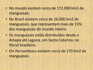 • No mundo existem cerca de 172.000 km2 de
  manguezais.
• No Brasil existem cerca de 26.000 km2 de
  manguezais, que representam mais de 15%
  dos manguezais do mundo inteiro.
• Os manguezais estão distribuídos desde o
  Amapá até Laguna, em Santa Catarina, no
  litoral brasileiro.
• Em Pernambuco existem cerca de 270 km2 de
  manguezais.
 