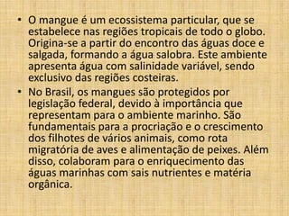 • O mangue é um ecossistema particular, que se
  estabelece nas regiões tropicais de todo o globo.
  Origina-se a partir do encontro das águas doce e
  salgada, formando a água salobra. Este ambiente
  apresenta água com salinidade variável, sendo
  exclusivo das regiões costeiras.
• No Brasil, os mangues são protegidos por
  legislação federal, devido à importância que
  representam para o ambiente marinho. São
  fundamentais para a procriação e o crescimento
  dos filhotes de vários animais, como rota
  migratória de aves e alimentação de peixes. Além
  disso, colaboram para o enriquecimento das
  águas marinhas com sais nutrientes e matéria
  orgânica.
 