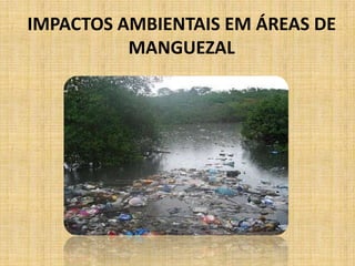 IMPACTOS AMBIENTAIS EM ÁREAS DE
          MANGUEZAL
 