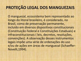 PROTEÇÃO LEGAL DOS MANGUEZAIS
O manguezal, ecossistema bem representado ao
longo do litoral brasileiro, é considerado, no
Brasil, como de preservação permanente,
incluído em diversos dispositivos constitucionais
(Constituição Federal e Constituições Estaduais) e
infraconstitucionais ( leis, decretos, resoluções,
convenções). A observação desses instrumentos
legais impõe uma série de ordenações do uso
e/ou de ações em áreas de manguezal (Schaeffer-
Novelli,1994).
 