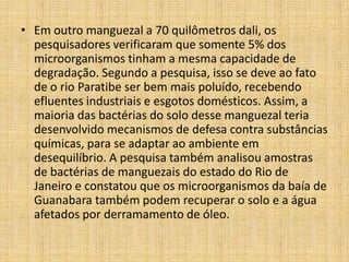 • Em outro manguezal a 70 quilômetros dali, os
  pesquisadores verificaram que somente 5% dos
  microorganismos tinham a mesma capacidade de
  degradação. Segundo a pesquisa, isso se deve ao fato
  de o rio Paratibe ser bem mais poluído, recebendo
  efluentes industriais e esgotos domésticos. Assim, a
  maioria das bactérias do solo desse manguezal teria
  desenvolvido mecanismos de defesa contra substâncias
  químicas, para se adaptar ao ambiente em
  desequilíbrio. A pesquisa também analisou amostras
  de bactérias de manguezais do estado do Rio de
  Janeiro e constatou que os microorganismos da baía de
  Guanabara também podem recuperar o solo e a água
  afetados por derramamento de óleo.
 