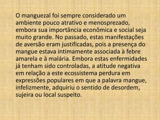 O manguezal foi sempre considerado um
ambiente pouco atrativo e menosprezado,
embora sua importância econômica e social seja
muito grande. No passado, estas manifestações
de aversão eram justificadas, pois a presença do
mangue estava intimamente associada à febre
amarela e à malária. Embora estas enfermidades
já tenham sido controladas, a atitude negativa
em relação a este ecossistema perdura em
expressões populares em que a palavra mangue,
infelizmente, adquiriu o sentido de desordem,
sujeira ou local suspeito.
 