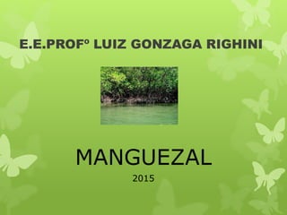 E.E.PROFº LUIZ GONZAGA RIGHINI
MANGUEZAL
2015
 