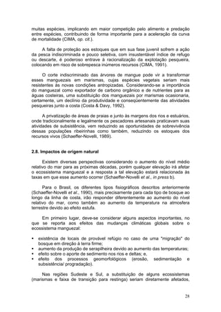 28
muitas espécies, implicando em maior competição pelo alimento e predação
entre espécies, contribuindo de forma importante para a aceleração da curva
de mortalidade (CIMA, op. cit.).
A falta de proteção aos estoques que em sua fase juvenil sofrem a ação
da pesca indiscriminada e pouco seletiva, com insustentável índice de refugo
ou descarte, é poderoso entrave à racionalização da explotação pesqueira,
colocando em risco de sobrepesca inúmeros recursos (CIMA, 1991).
O corte indiscriminado das árvores de mangue pode vir a transformar
esses manguezais em marismas, cujas espécies vegetais seriam mais
resistentes às novas condições antropizadas. Considerando-se a importância
do manguezal como exportador de carbono orgânico e de nutrientes para as
águas costeiras, uma substituição dos manguezais por marismas ocasionaria,
certamente, um declínio da produtividade e conseqüentemente das atividades
pesqueiras junto a costa (Costa & Davy, 1992).
A privatização de áreas de praias e junto às margens dos rios e estuários,
onde tradicionalmente e legalmente os pescadores artesanais praticavam suas
atividades de subsistência, vem reduzindo as oportunidades de sobrevivência
dessas populações ribeirinhas como também, reduzindo os estoques dos
recursos vivos (Schaeffer-Novelli, 1989).
2.8. Impactos de origem natural
Existem diversas perspectivas considerando o aumento do nível médio
relativo do mar para as próximas décadas, porém qualquer elevação irá afetar
o ecossistema manguezal e a resposta a tal elevação estará relacionada às
taxas em que esse aumento ocorrer (Schaeffer-Novelli et al., in press b).
Para o Brasil, os diferentes tipos fisiográficos descritos anteriormente
(Schaeffer-Novelli et al., 1990), mais precisamente para cada tipo de bosque ao
longo da linha de costa, irão responder diferentemente ao aumento do nível
relativo do mar, como também ao aumento da temperatura na atmosfera
terrestre devido ao efeito estufa.
Em primeiro lugar, deve-se considerar alguns aspectos importantes, no
que se reporta aos efeitos das mudanças climáticas globais sobre o
ecossistema manguezal:
existência de locais de provável refúgio no caso de uma "migração" do
bosque em direção à terra firme;
aumento da produção de serapilheira devido ao aumento das temperaturas;
efeito sobre o aporte de sedimento nos rios e deltas; e,
efeito dos processos geomorfológicos (erosão, sedimentação e
subsistência/ progradação).
Nas regiões Sudeste e Sul, a substituição de alguns ecossistemas
(marismas e faixa de transição para restinga) seriam diretamente afetados,
 