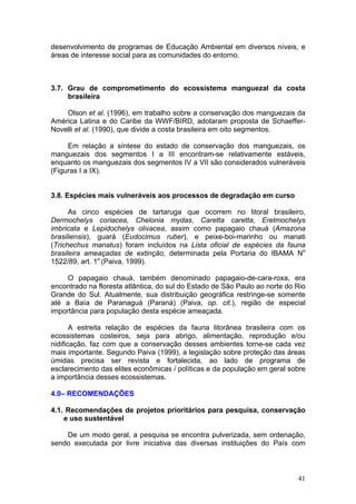 41
desenvolvimento de programas de Educação Ambiental em diversos níveis, e
áreas de interesse social para as comunidades do entorno.
3.7. Grau de comprometimento do ecossistema manguezal da costa
brasileira
Olson et al. (1996), em trabalho sobre a conservação dos manguezais da
América Latina e do Caribe da WWF/BIRD, adotaram proposta de Schaeffer-
Novelli et al. (1990), que divide a costa brasileira em oito segmentos.
Em relação a síntese do estado de conservação dos manguezais, os
manguezais dos segmentos I a III encontram-se relativamente estáveis,
enquanto os manguezais dos segmentos IV a VII são considerados vulneráveis
(Figuras I a IX).
3.8. Espécies mais vulneráveis aos processos de degradação em curso
As cinco espécies de tartaruga que ocorrem no litoral brasileiro,
Dermochelys coriacea, Chelonia mydas, Caretta caretta, Eretmochelys
imbricata e Lepidochelys olivacea, assim como papagaio chauá (Amazona
brasiliensis), guará (Eudocimus ruber), e peixe-boi-marinho ou manati
(Trichechus manatus) foram incluídos na Lista oficial de espécies da fauna
brasileira ameaçadas de extinção, determinada pela Portaria do IBAMA No
1522/89, art. 1o
(Paiva, 1999).
O papagaio chauá, também denominado papagaio-de-cara-roxa, era
encontrado na floresta atlântica, do sul do Estado de São Paulo ao norte do Rio
Grande do Sul. Atualmente, sua distribuição geográfica restringe-se somente
até a Baía de Paranaguá (Paraná) (Paiva, op. cit.), região de especial
importância para população desta espécie ameaçada.
A estreita relação de espécies da fauna litorânea brasileira com os
ecossistemas costeiros, seja para abrigo, alimentação, reprodução e/ou
nidificação, faz com que a conservação desses ambientes torne-se cada vez
mais importante. Segundo Paiva (1999), a legislação sobre proteção das áreas
úmidas precisa ser revista e fortalecida, ao lado de programa de
esclarecimento das elites econômicas / políticas e da população em geral sobre
a importância desses ecossistemas.
4.0– RECOMENDAÇÕES
4.1. Recomendações de projetos prioritários para pesquisa, conservação
e uso sustentável
De um modo geral, a pesquisa se encontra pulverizada, sem ordenação,
sendo executada por livre iniciativa das diversas instituições do País com
 