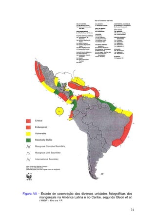 74
Figura VII - Estado de coservação das diversas unidades fisiográficas dos
manguezais na América Latina e no Caribe, segundo Olson et al.
(1996) figura 15
Key to Complexes and Units
SEA OF CORTEZ
1a. NW Mexican Coast
1b. Marismas Nacionales /
San Bias
SOUTHERN MEXICO
2. S.Pacific Coast of Mexico
PACIFIC CENTRAL AMERICA
3a. Tehuantepec / El
Manchón
3b. Northern Dry Pacific
Coast
3c. Gulf of Fonseca
3d. Southern Dry Pacific
Coast
3e. Moist Pacific Coast
3f. Panama Dry Pacific
PACIFIC SOUTH AMERICA
4a. Gulf of Panama
4b. Esmeraldas / Pacific
Colombia
4c. Manabi
4d. Gulf of Guayaquil /
Tumbes
4e. Piura
GALAPAGOS
5. Galapagos islands
GULF OF MEXICO
6a. Alvarado
6b. Usumacinta
YUCATÃN
7a. Petenes
7b. Rio Lagartos
7c. Mayan Corridor
7d. Belizean Coast
7e. Belizean Reef
ATLANTIC CENTRAL
AMERICA
8a. Northern Honduras
8b. Mosquitia / Nicaraguan
Caribbean Coast
8c. Río Negro / Río San Sun
8d. Bocas del Toro /
Bastimentos
Island / San Bias
CONTINENTAL CARIBBEAN
9a. Magdalena / Santa Marta
9b. Coastal Venezuela
WEST INDIES
10a. Bahamas
10b. Greater Antilles
10c. Lesser Antilles
AMAZON-ORINOCO-
MARANHÃO
11a. Trinidad
11b. Segment 0
11c. Segment I
11d. Segment II
11e. Segment III
NE BRAZIL
12a. Segment IV
12b. Segment V
12c. Segment VI
SE BRAZIL
13. Segment VII
 