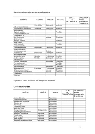 91
Macrobentos Associados aos Marismas Brasileiros
ESPÉCIE FAMÍLIA ORDEM CLASSE
LOCAL
DE
OCORRÊNCIA
CATEGORIA
R=rara;
A=ameaçada;
E=endêmica
Hydrobiidae Gastropoda Mollusca
Acteocina canaliculata
Anomalocardia brasiliensis Veneridae Pelecypoda Mollusca
Bittium varium
Capitella capitata Annelida
Cassidinidea tuberculata
Costoanachis sp.
Dies fluminensis Isopoda Crustacea
Epitonium sp.
Heleobia australis Mollusca
Hyale media
Isolda pulchella Annelida
Laeonereis acuta
Littorina anguilifera Littorinidae Gastropoda Mollusca
Lumbrineris hebes
Mytella guyanensis Bivalvia
Nassarius sp. Nassaridae Gastropoda Mollusca
Neanthes succinea
Nereis oligohalina Nereidae Phyllodocida Annelida
Neritina virginica Neritidae Gastropoda Mollusca
Odostomia sp.
Parhyale hawaiensis Amphipoda Crustacea
Perinereis ponteni Annelida
Perinereis vancaurica Annelida
Platorchestia sp. Amphipoda Crustacea
Sigambra grubii Pilargidae Phyllodocida Annelida
Sphaeromopsis mourei Isopoda Crustacea
Tholozodium rhombofrontalis Isopoda Crustacea
Turbonilla sp.
Zeuxo sp.
Espécies da Fauna Associada aos Manguezais Brasileiros
Classe Rhizopoda
ESPÉCIE FAMÍLIA ORDEM
LOCAL
DE
OCORRÊNCIA
CATEGORIA
R=rara;
A=ameaçada;
E=endêmica
Ammoastula salsa Foraminifera
Ammonitium salsum Foraminifera
Arenoparrella mexicana Foraminifera
Cibicides sp. Foraminifera
Discorbis sp. Foraminifera
Elphidium gunteri Foraminifera
Gaudryina exilis Foraminifera
Globigerinoides sp. Globigerinidae Foraminifera
Haplophragmoides wilberti Foraminifera
Miliolinella subrotunda Miliolidae Foraminifera
Parrellina sp. Miliolidae Foraminifera
Pyrgo elongata Miliolidae Foraminifera
Pyrgo ringens Miliolidae Foraminifera
Quinqueloculina lamarckiana Miliolidae Foraminifera
 