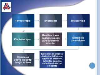 Termoterapia crioterapia Ultrasonido
Electroterapia
Movilizaciones
pasivas suaves
bajo liberación
articular
Ejercicios
pendulares
Ejercicios
activo-asistido,
luego activos
Ejercicios estáticos y
dinámica del bíceps,
rotadores externos,
deltoides anterior,
estabilizadores del
omoplato
 