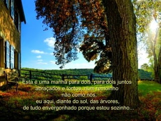 Esta é uma manhã para dois, para dois juntos    abraçados e tontos, num remoinho    não como nós, eu aqui, diante do sol, das árvores,    de tudo envergonhado porque estou sozinho...  