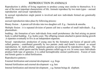 REPRODUCTION IN ANIMALS
Reproduction is ability of living organisms to produce young ones similar to themselves. It is
one of the most important characteristic of life. Animals reproduce by two main types – asexual
reproduction and sexual reproduction.
In asexual reproduction single parent is involved and new individuals formed are genetically
identical.
asexual reproduction takes place by following process:
Binary fission : A parent cell divides into two daughter cell. E.g. : bacteria & amoeba.
Multiple fission : it is repeated division of parent cell into a number of small individuals . E.g.
plasmodium .
budding : the formation of new individuals from small protuberance ;the bud arising on parent
body is called budding . E.g. hydra yeast. The offspring remain attached to parent during growth
.it separates eventually to live as an independent organism.
Sexual reproduction: production of young ones by the formation and fusion of special cells
called gametes ; contributed generally by two parents ;male and female is termed as sexual
reproduction. In multi-cellular organisms gametes are produced by reproductive organs . The
male gametes called sperm and the female gametes called egg or ova. In some cases individuals
produce both type of gametes; it is called hermaphrodite animal (earthwarm) . Fusion of male
and female games is called fertilization.
Reproductive patterns –
External fertilization and external development –e.g. frogs
Internal fertilization and external development –e.g. hen
Internal fertilization and internal development _ e.g. human beings & elephant.
 