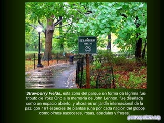 Strawberry Fields, esta zona del parque en forma de lágrima fue
tributo de Yoko Ono a la memoria de John Lennon, fue diseñada
como un espacio abierto, y ahora es un jardín internacional de la
paz, con 161 especies de plantas (una por cada nación del globo)
como olmos escoceses, rosas, abedules y fresas.

 