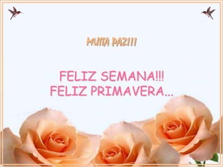 FELIZ SEMANA!!!
FELIZ PRIMAVERA...
 