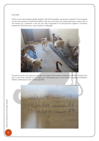 4
ONGCãoSemDonodeProteçãoAnimal
OS CANIS
Todos os canis estavam limpos quando chegamos. São de bom tamanho, mas não para comportar 9 (nove) animais
ou mais como notamos na maioria (foto abaixo). Um único canil estava com a porta aberta para o espaço onde os
cães tomam sol, e justamente o dos cães que estão recuperando-se de pós-operatório segundo o veterinário
responsável. (fotos anteriores), o que nos pareceu inadequado.
Na porta de um dos canis reparamos uma placa com números decrescentes em período de 30 dias, deixando claro
que 14 cães foram colocados em um espaço que é ideal apenas para 5 ou no máximo 6 animais. Estranhamos
também a diminuição de cães em datas específicas.
 