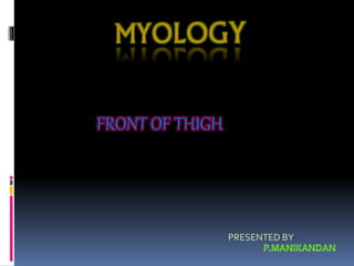FRONT OF THIGH
PRESENTED BY
 