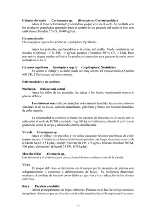 CULTIVO DE MANI | PDF