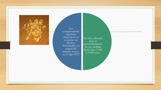 Ha sido cultivada
para el
aprovechamiento
de sus semillas
desde hace 4.000
ó 5.000 años.
Los
conquistadores
españoles
observaron su
consumo en
México-
Tenochtitlan, la
capital del
imperio azteca,
en el siglo XVI
 