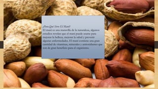 ¿Para Qué Sirve El Maní?
El maní es una maravilla de la naturaleza, algunos
estudios revelan que el maní puede usarse para
mejorar la belleza, mejorar la salud y prevenir
algunas enfermedades. El maní contiene una gran
cantidad de vitaminas, minerales y antioxidantes que
son de gran beneficio para el organismo.
 