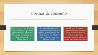 Formas de consumo
En Ecuador es un alimento
muy consumido que tiene
gran presencia en ciertas
provincias costeras como
la provincia de
Manabírigen
su uso es básico en la
elaboración de platos
típicos como el viche de
mariscos, el corviche y
otros platos a base de
plátano verde.
igual forma se usa en la
gastronomía ecuatoriana
para la elaboración de
bollos de pescado,
cazuelas, guatita, salprieta y
varios usos gastronómicos.
 