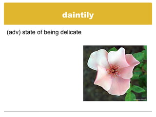 daintily
(adv) state of being delicate
 