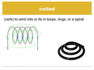 coiled
(verb) to wind into or lie in loops, rings, or a spiral
 