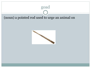 Maniac Magee Vocab 4 And 5 | PPT