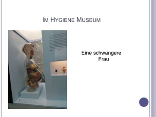 IM HYGIENE MUSEUM
Eine schwangere
Frau
 