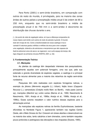 Para Porto (2001) o semi-árido brasileiro, em comparação com
outros do resto do mundo, é privilegiado, pois na maioria das zonas
áridas de outros países a precipitação média anual é da ordem de 80 a
250 mm, enquanto que no semi-árido brasileiro a média de
precipitação anual é de 750 mm e a semi-aridez é decorrente da
distribuição das chuvas durante o ano.
[...] do ponto de vista da vegetação nativa, aí é que a diferença comparativa do
nosso trópico semi-árido com outros do resto do planeta é grande. O mundo
todo tem inveja de nós. Como a biodiversidade da nossa caatinga é rica e
variada! A natureza gastou milhões e milhões de anos para criar e adaptar
uma vegetação, dotando-a de estruturas e mecanismos que são capazes de
fazê-la sobreviver anos de seca e se regenerar, num curto espaço de tempo, tão
logo cheguem as primeiras chuvas (PORTO, 2001, p. 02).
2. Fundamentação Teórica
2.1. Maniçoba
As plantas da caatinga têm despertado interesse dos pesquisadores,
principalmente aquelas com potencial forrageiro, uma vez que, pela sua
extensão e grande diversidade de espécies vegetais, a caatinga é a principal
fonte de recurso alimentar para a maioria dos rebanhos da região semi-árida
nordestina.
Pesquisas têm sido realizadas com espécies forrageiras nativas, a
exemplo da jitirana (Merremia aegyptia (L.) Urban), feijão bravo (Capparis
flexuosa L.), camaratuba (Cratylia mollis Mart. ex Benth), mata pasto (senna
sp), maniçoba (Manihot sp.) entre outras (Barros et al., 1990; Nascimento &
Nascimento, 1991; Araújo et al., 1996a; Araújo et al., 1996b; Araújo et al.,
1996c). Esses autores ressaltam o valor nutritivo dessas espécies para a
alimentação animal.
As maniçobas são espécies nativas da família Euphorbiaceae, bastante
difundidas no Nordeste Figura 1, aparecendo também nas regiões Centro
Oeste, até o Mato Grosso do Sul. Crescem em áreas abertas e desenvolvem-se
na maioria dos solos, tanto calcários e bem drenados, como também naqueles
pouco profundos e pedregosos das elevações e das chapadas (Soares, 1995).
 