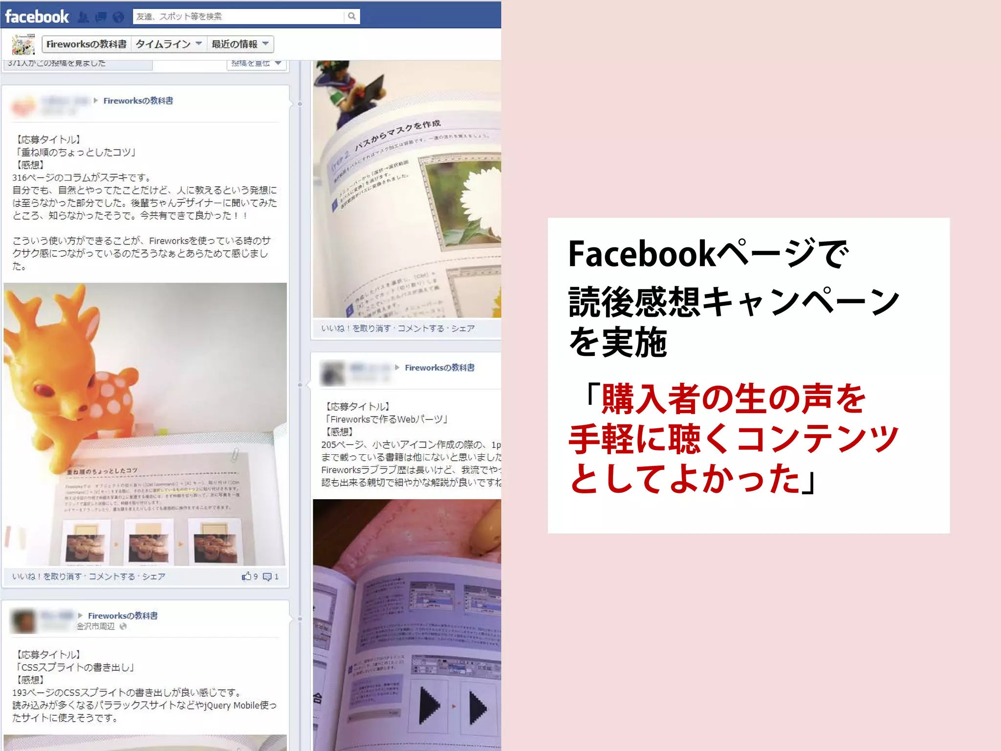 Facebookページで
読後感想キャンペーン
を実施
「購入者の生の声を
手軽に聴くコンテンツ
としてよかった」
 