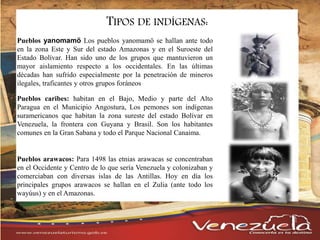 TIPOS DE INDÍGENAS:
Pueblos yanomamö Los pueblos yanomamö se hallan ante todo
en la zona Este y Sur del estado Amazonas y en el Suroeste del
Estado Bolívar. Han sido uno de los grupos que mantuvieron un
mayor aislamiento respecto a los occidentales. En las últimas
décadas han sufrido especialmente por la penetración de mineros
ilegales, traficantes y otros grupos foráneos
Pueblos caribes: habitan en el Bajo, Medio y parte del Alto
Paragua en el Municipio Angostura, Los pemones son indígenas
suramericanos que habitan la zona sureste del estado Bolívar en
Venezuela, la frontera con Guyana y Brasil. Son los habitantes
comunes en la Gran Sabana y todo el Parque Nacional Canaima.
Pueblos arawacos: Para 1498 las etnias arawacas se concentraban
en el Occidente y Centro de lo que sería Venezuela y colonizaban y
comerciaban con diversas islas de las Antillas. Hoy en día los
principales grupos arawacos se hallan en el Zulia (ante todo los
wayúus) y en el Amazonas.
 