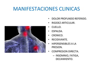 MANIFESTACIONES CLINICAS ,[object Object],[object Object],[object Object],[object Object],[object Object],[object Object],[object Object],[object Object],[object Object]