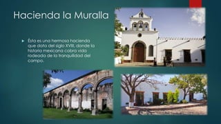 Hacienda la Muralla


Ésta es una hermosa hacienda
que data del siglo XVIII, donde la
historia mexicana cobra vida
rodeada de la tranquilidad del
campo.

 