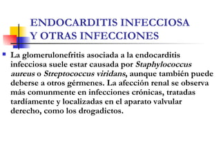 ENDOCARDITIS INFECCIOSA Y OTRAS INFECCIONES <ul><li>La glomerulonefritis asociada a la endocarditis infecciosa   suele est...