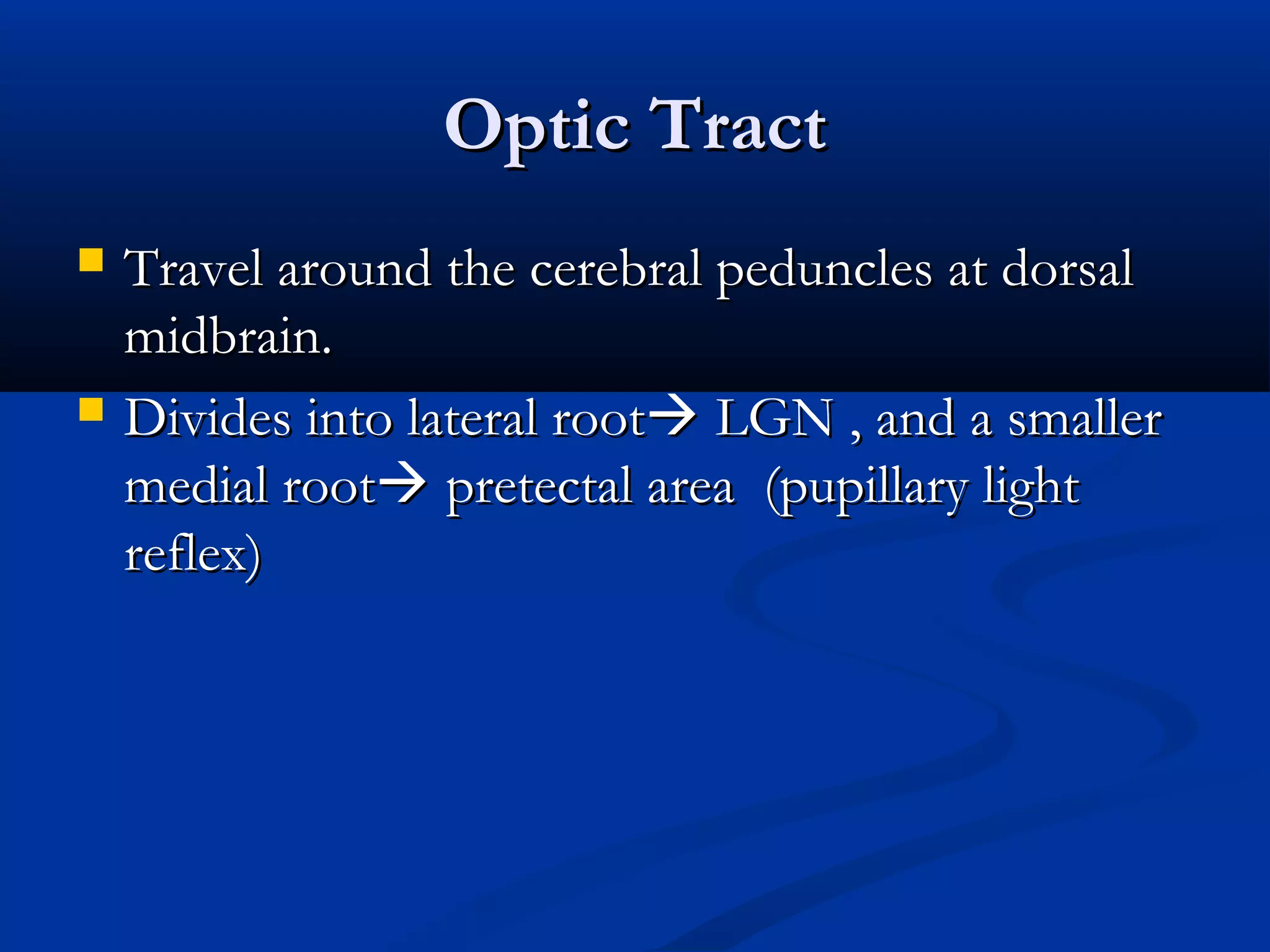 Optic TractOptic Tract
 Travel around the cerebral peduncles at dorsalTravel around the cerebral peduncles at dorsal
midbrain.midbrain.
 Divides into lateral rootDivides into lateral root LGN , and a smallerLGN , and a smaller
medial rootmedial root pretectal area (pupillary lightpretectal area (pupillary light
reflex)reflex)
 