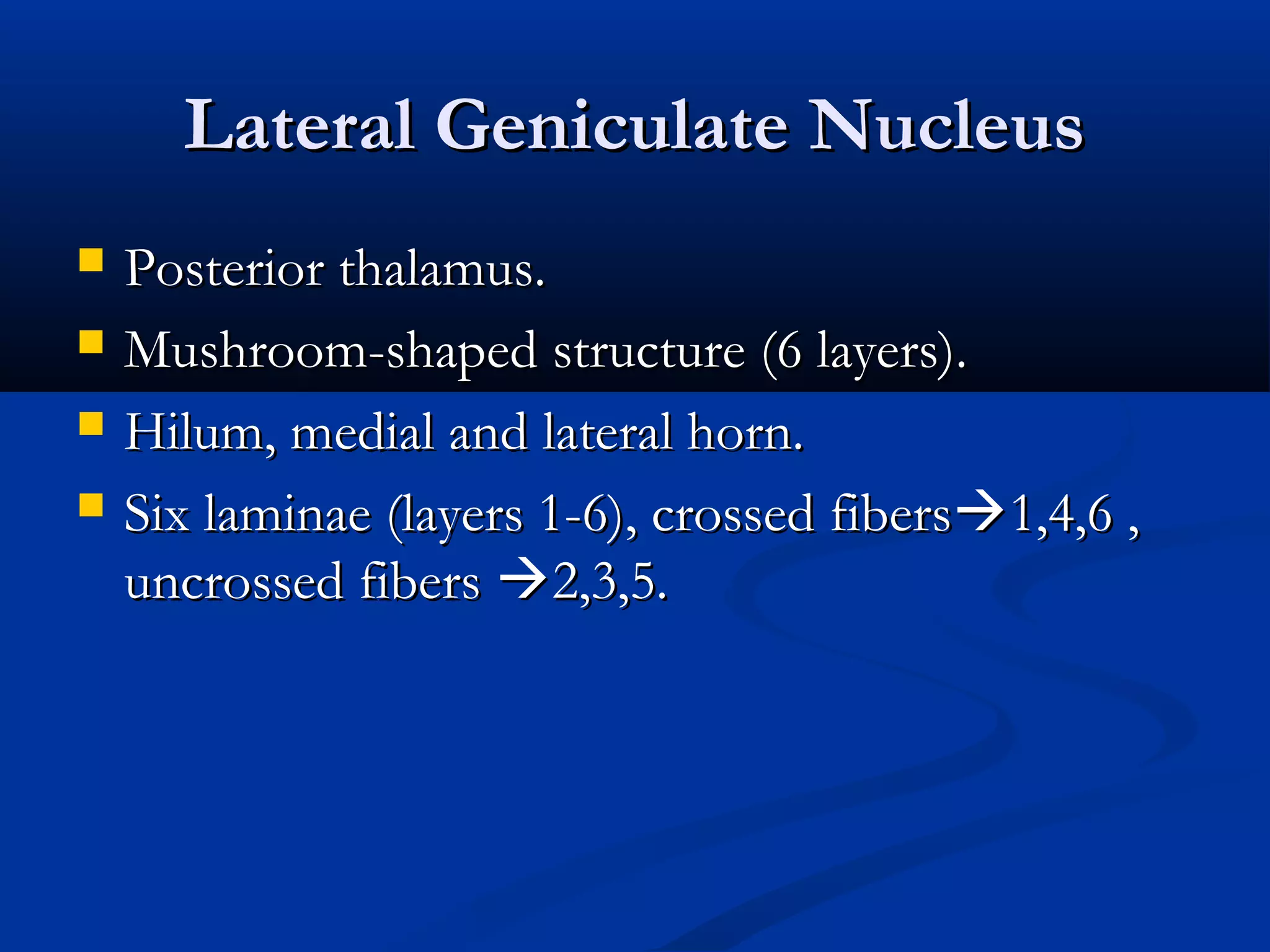 Lateral Geniculate NucleusLateral Geniculate Nucleus
 Posterior thalamus.Posterior thalamus.
 Mushroom-shaped structure (6 layers).Mushroom-shaped structure (6 layers).
 Hilum, medial and lateral horn.Hilum, medial and lateral horn.
 Six laminae (layers 1-6), crossed fibersSix laminae (layers 1-6), crossed fibers1,4,6 ,1,4,6 ,
uncrossed fibersuncrossed fibers 2,3,5.2,3,5.
 
