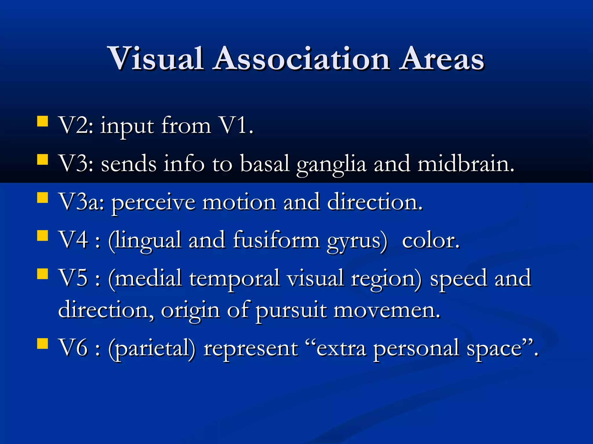 Visual Association AreasVisual Association Areas
 V2: input from V1.V2: input from V1.
 V3: sends info to basal ganglia and midbrain.V3: sends info to basal ganglia and midbrain.
 V3a: perceive motion and direction.V3a: perceive motion and direction.
 V4 : (lingual and fusiform gyrus) color.V4 : (lingual and fusiform gyrus) color.
 V5 : (medial temporal visual region) speed andV5 : (medial temporal visual region) speed and
direction, origin of pursuit movemen.direction, origin of pursuit movemen.
 V6 : (parietal) represent “extra personal space”.V6 : (parietal) represent “extra personal space”.
 