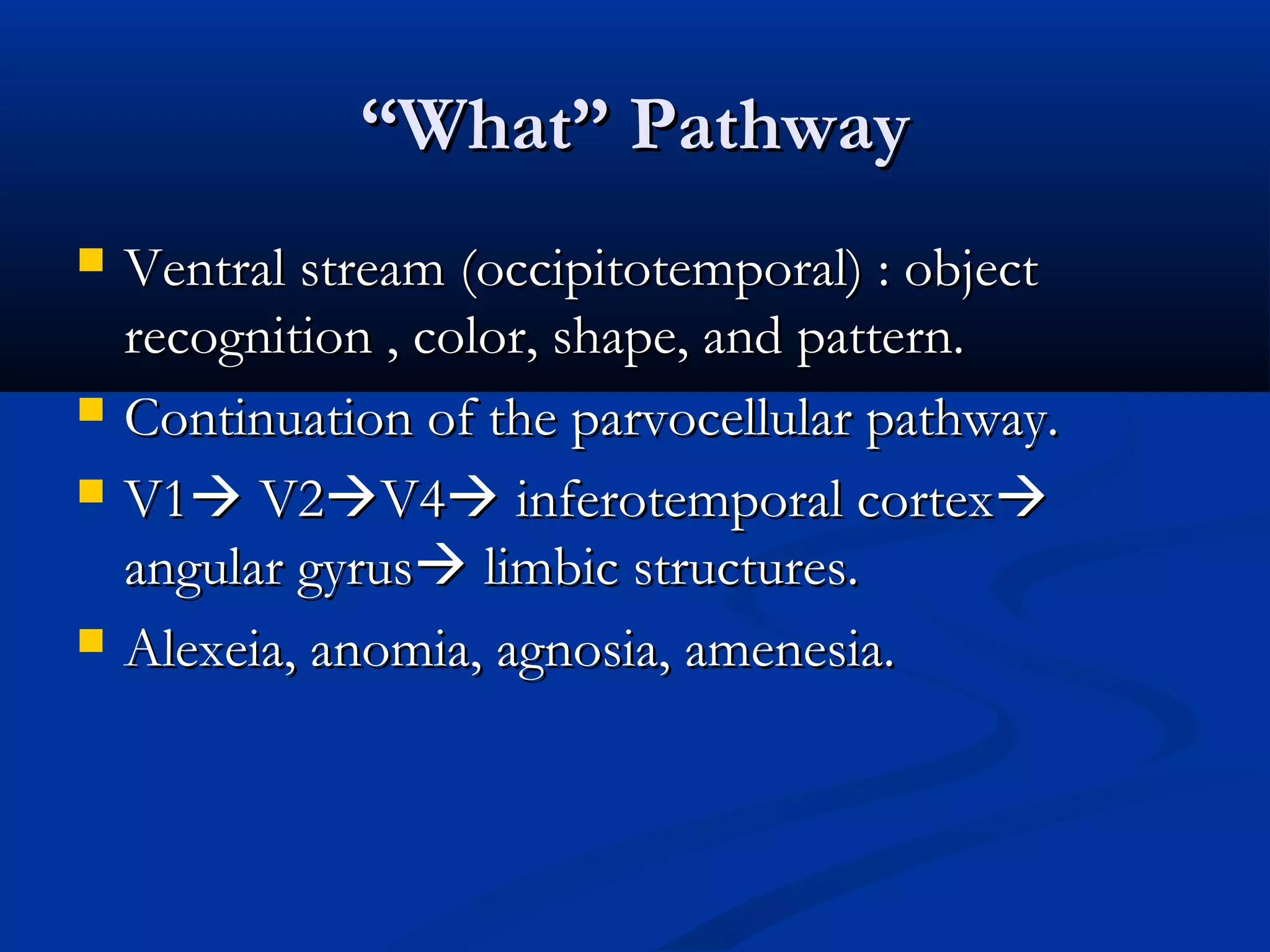 ““What” PathwayWhat” Pathway
 Ventral stream (occipitotemporal) : objectVentral stream (occipitotemporal) : object
recognition , color, shape, and pattern.recognition , color, shape, and pattern.
 Continuation of the parvocellular pathway.Continuation of the parvocellular pathway.
 V1V1 V2V2V4V4 inferotemporal cortexinferotemporal cortex
angular gyrusangular gyrus limbic structures.limbic structures.
 Alexeia, anomia, agnosia, amenesia.Alexeia, anomia, agnosia, amenesia.
 