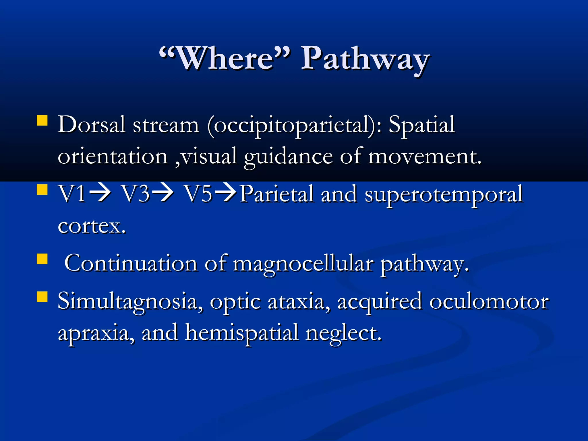 ““Where” PathwayWhere” Pathway
 Dorsal stream (occipitoparietal): SpatialDorsal stream (occipitoparietal): Spatial
orientation ,visual guidance of movement.orientation ,visual guidance of movement.
 V1V1 V3V3 V5V5Parietal and superotemporalParietal and superotemporal
cortex.cortex.
 Continuation of magnocellular pathway.Continuation of magnocellular pathway.
 Simultagnosia, optic ataxia, acquired oculomotorSimultagnosia, optic ataxia, acquired oculomotor
apraxia, and hemispatial neglect.apraxia, and hemispatial neglect.
 