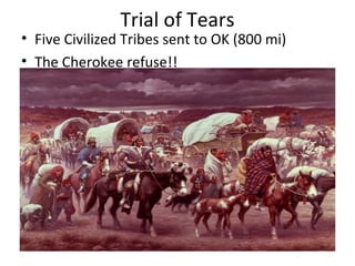 Trial of Tears
• Five Civilized Tribes sent to OK (800 mi)
• The Cherokee refuse!!
 